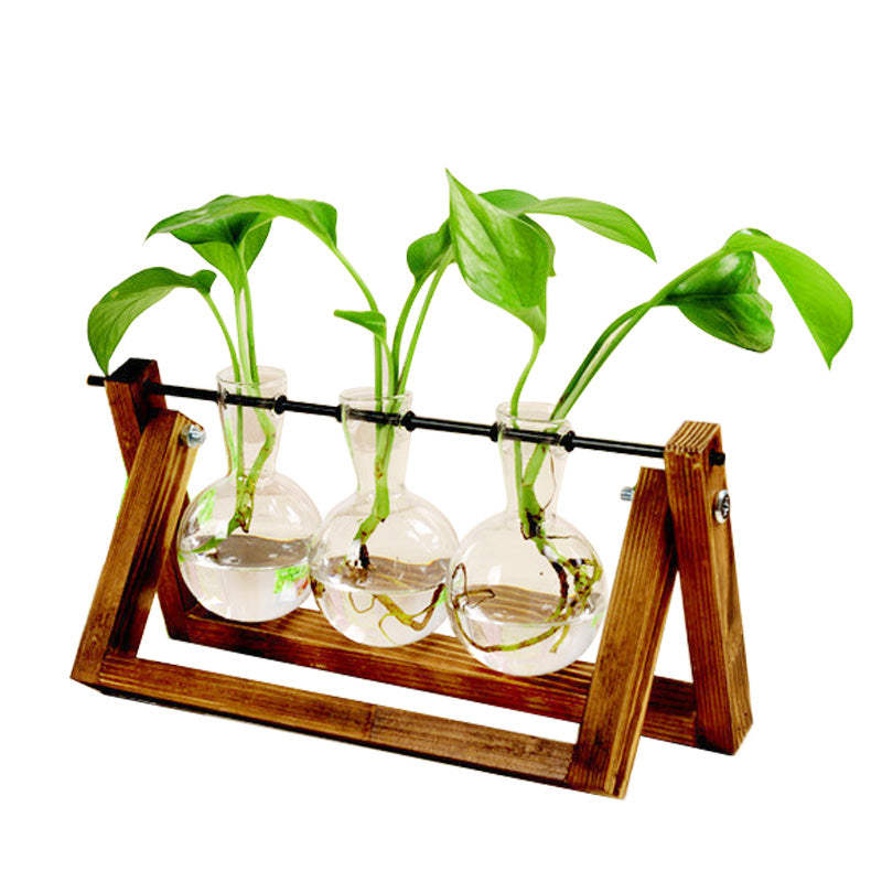 Plant Glass Vase